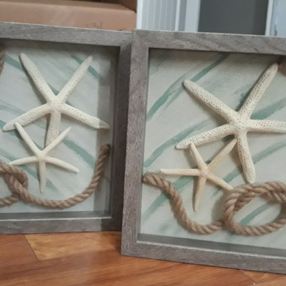 50% off Double Star Delight - Picture 3 of 3